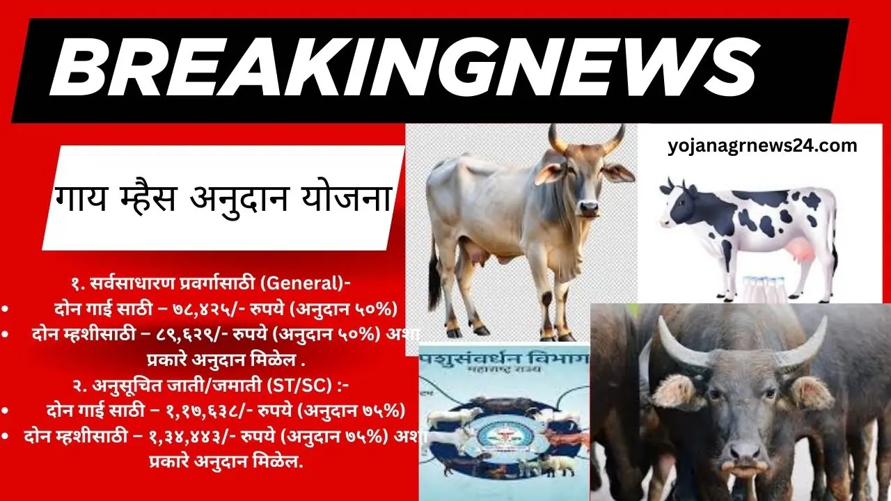 गाय म्हैस अनुदान योजना